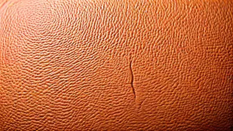 Basketball Basics: Die 5 wichtigsten Positionen erklärt