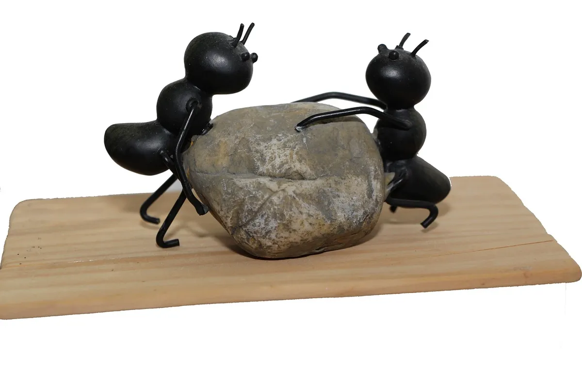 ants, strong, stone, power, nature, team, change, successful, idea, implementation, planning, teamwork, together, collaboration, strategy, ants, ants, ants, ant