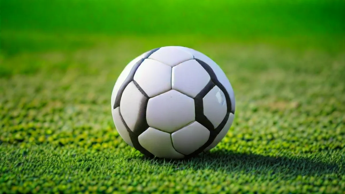 Professionele leer-soccerbal met gestreept patroon en textuur.
